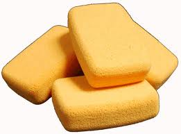 Sponges