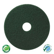 SSS 19&quot; GREEN SCRUB FLOOR PAD 5CS